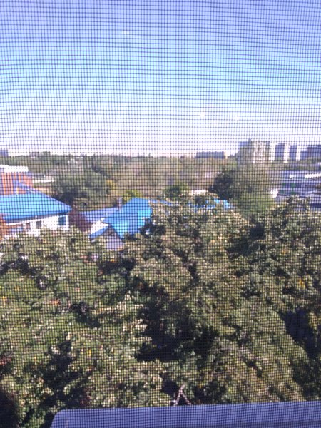 Camil Ressu, Park Lake, Piata Ramnicu Sarat,