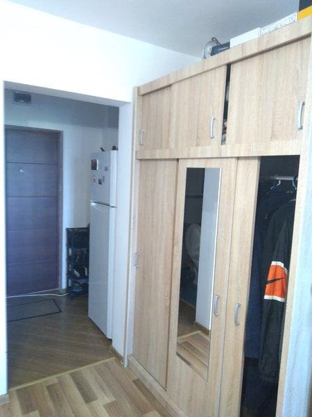 Camil Ressu, Park Lake, Piata Ramnicu Sarat,